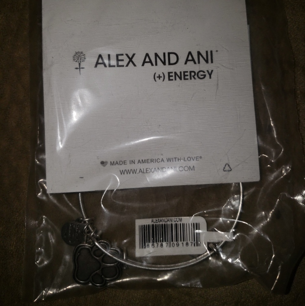 Alex and Ani bangle